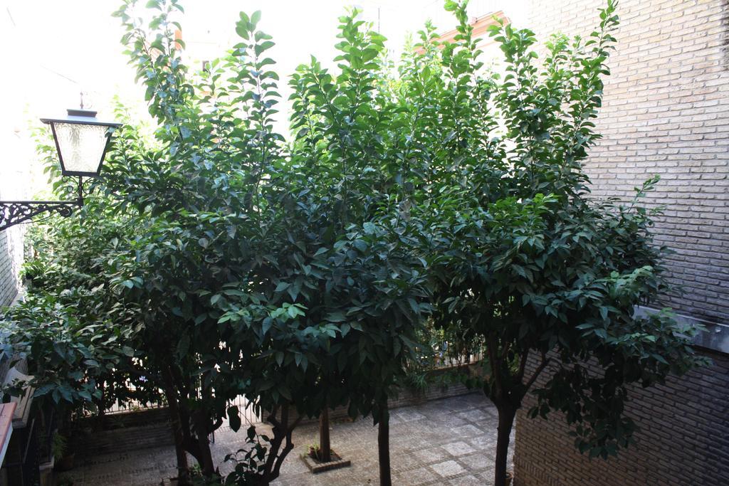 Apartamento Las Flores Pensión Sevilla