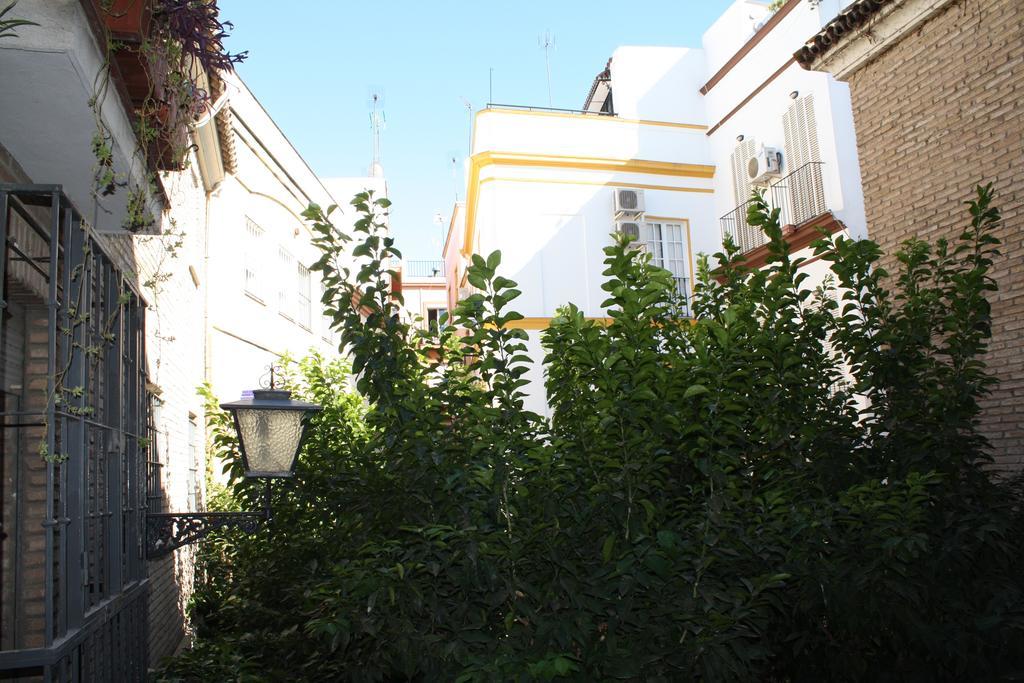 Apartamento Las Flores Maison d'hôtes *